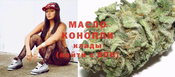 трава Новозыбков