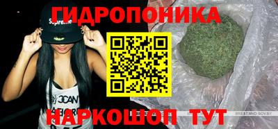 МДПВ Ставрополь