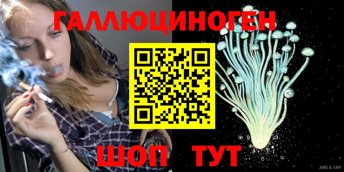 Североморск  Псилоцибиновые грибы Cubensis  купить наркоту  Вход с VPN 