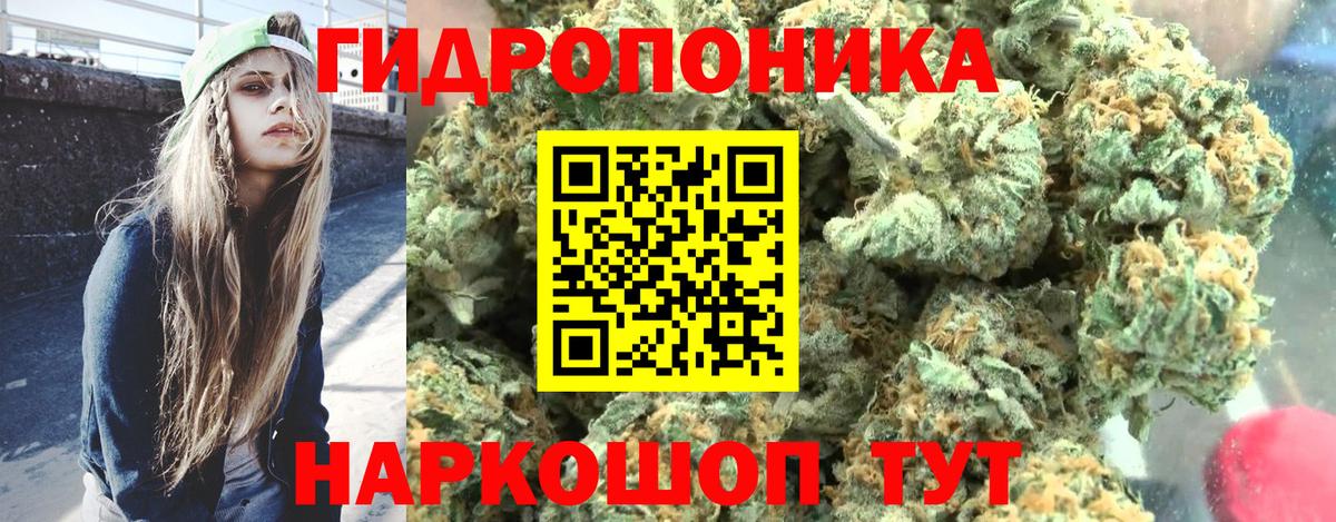 Каннабис план Североморск